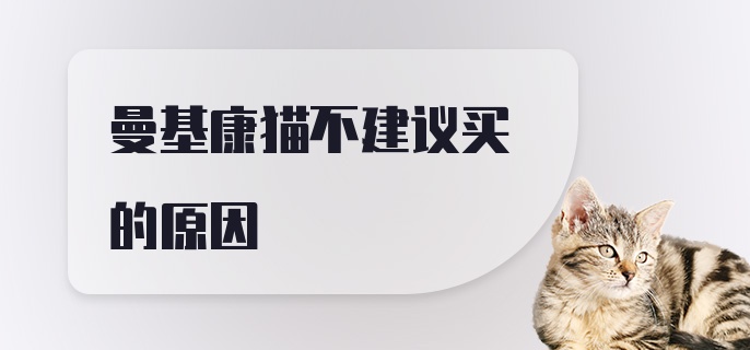 曼基康猫不建议买的原因