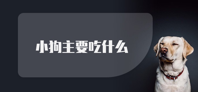 小狗主要吃什么