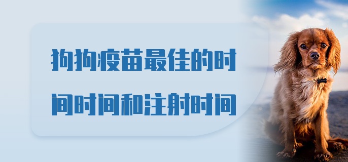 狗狗疫苗最佳的时间时间和注射时间