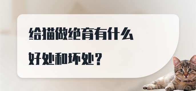 给猫做绝育有什么好处和坏处?