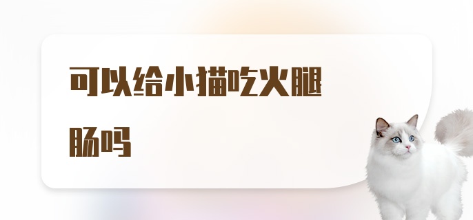 可以给小猫吃火腿肠吗