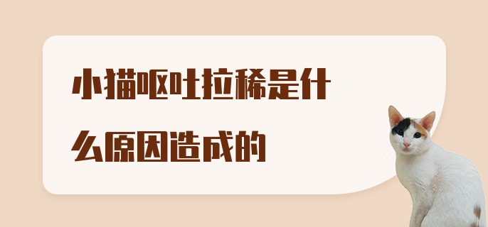 小猫呕吐拉稀是什么原因造成的