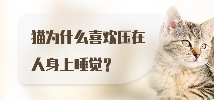 猫为什么喜欢压在人身上睡觉?