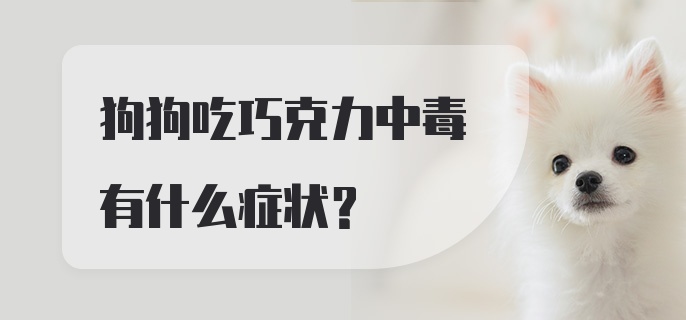 狗狗吃巧克力中毒有什么症状？