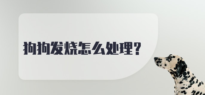 狗狗发烧怎么处理？