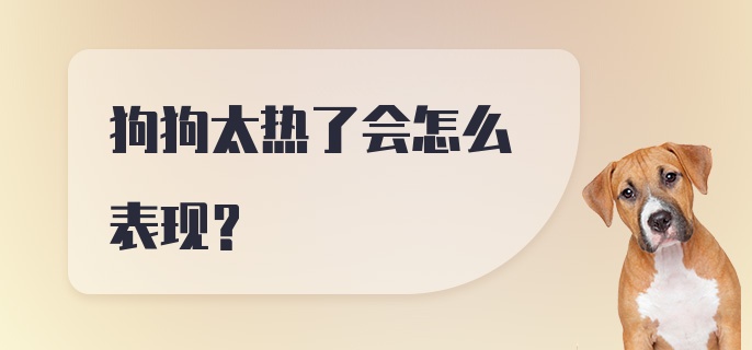 狗狗太热了会怎么表现？