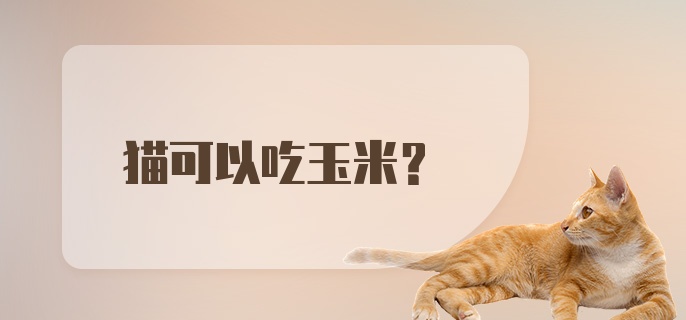 猫可以吃玉米?