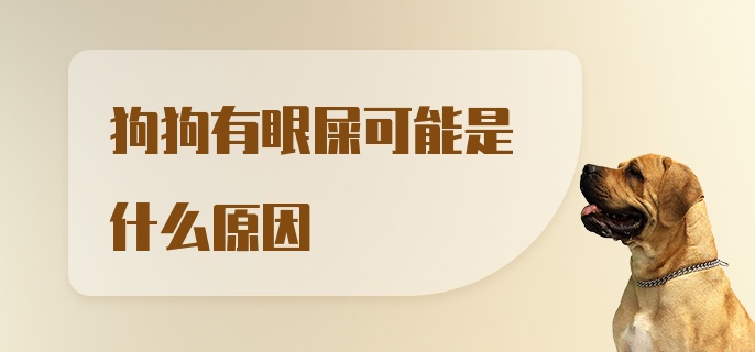 狗狗有眼屎可能是什么原因