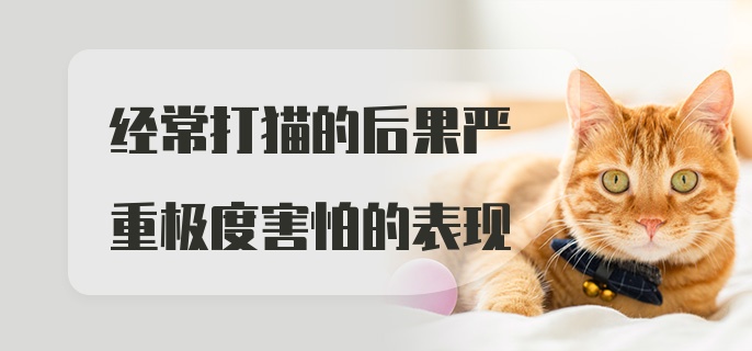 经常打猫的后果严重极度害怕的表现