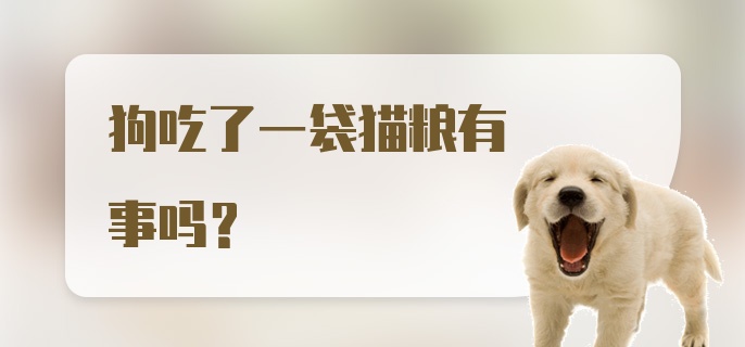 狗吃了一袋猫粮有事吗？