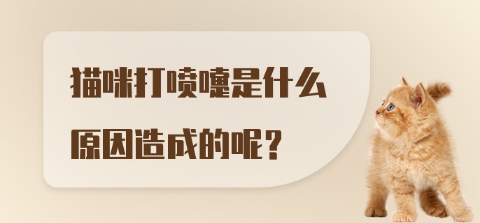 猫咪打喷嚏是什么原因造成的呢？