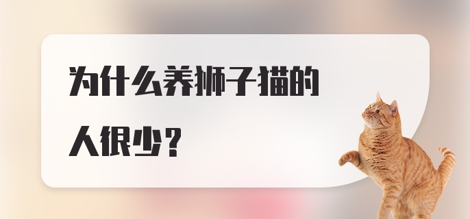 为什么养狮子猫的人很少？