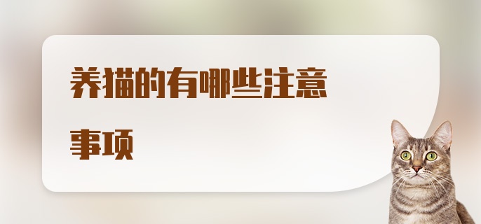 养猫的有哪些注意事项