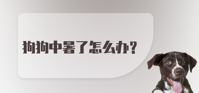 狗狗中暑了怎么办？