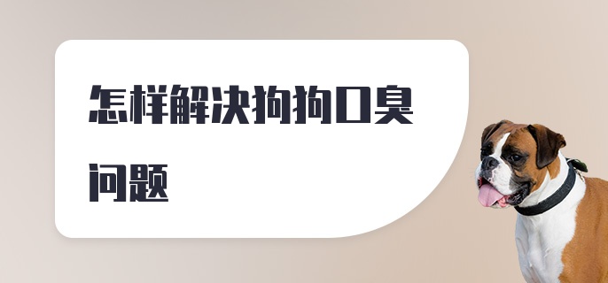 怎样解决狗狗口臭问题