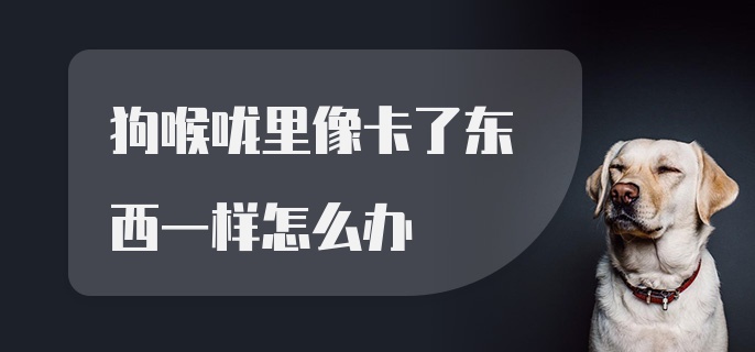 狗喉咙里像卡了东西一样怎么办