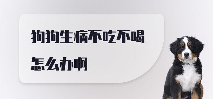 狗狗生病不吃不喝怎么办啊