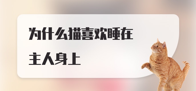 为什么猫喜欢睡在主人身上