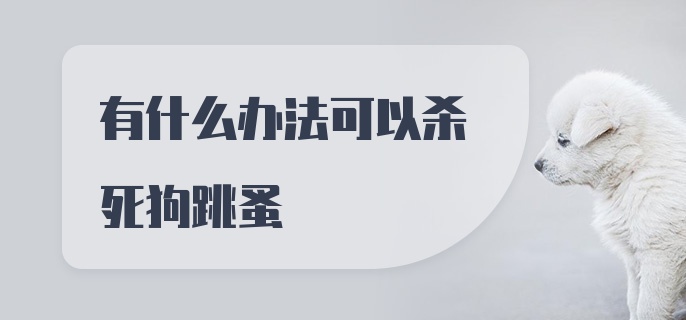 有什么办法可以杀死狗跳蚤