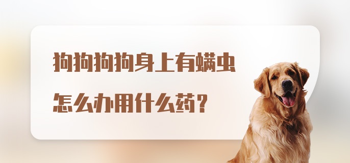 狗狗狗狗身上有螨虫怎么办用什么药？