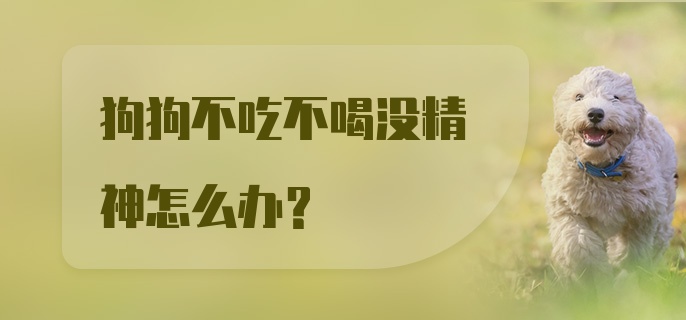 狗狗不吃不喝没精神怎么办?