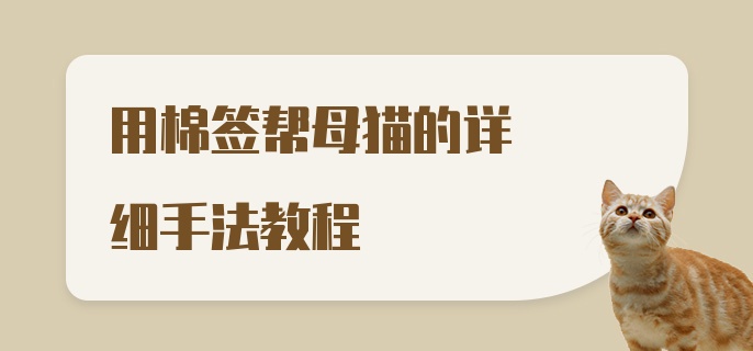 用棉签帮母猫的详细手法教程