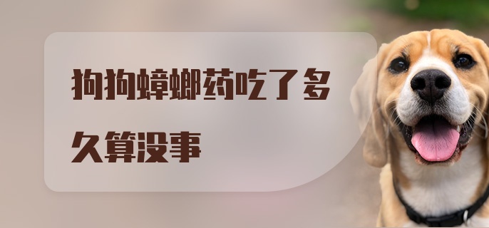 狗狗蟑螂药吃了多久算没事