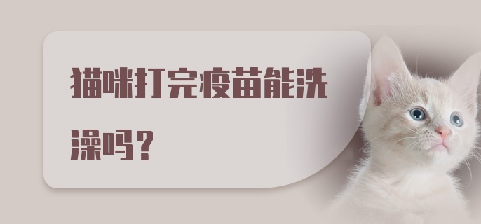 猫咪打完疫苗能洗澡吗？