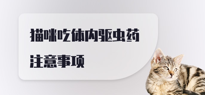 猫咪吃体内驱虫药注意事项