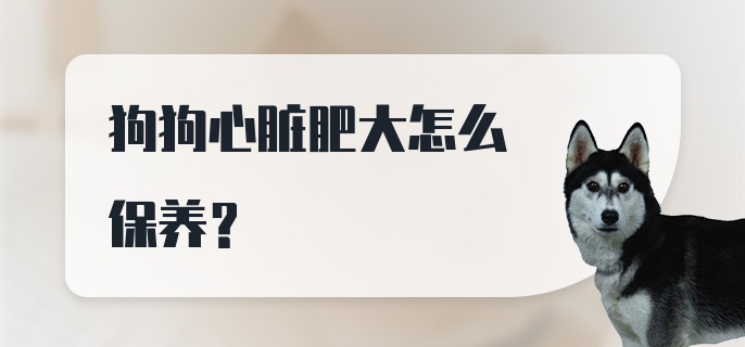 狗狗心脏肥大怎么保养？