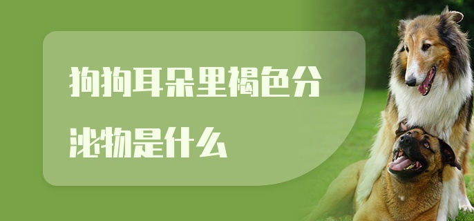 狗狗耳朵里褐色分泌物是什么