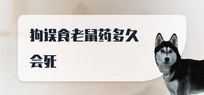 狗误食老鼠药多久会死