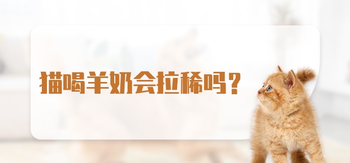 猫喝羊奶会拉稀吗？