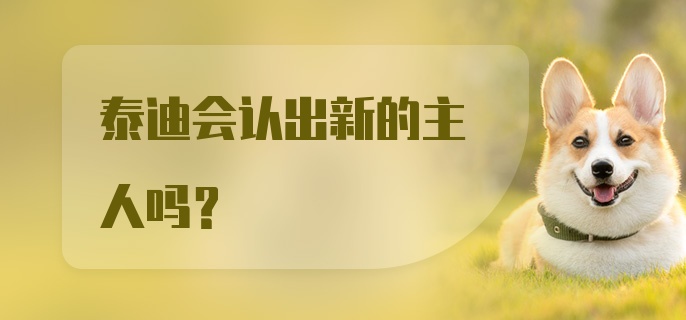 泰迪会认出新的主人吗?