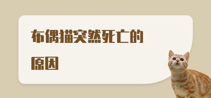 布偶猫突然死亡的原因