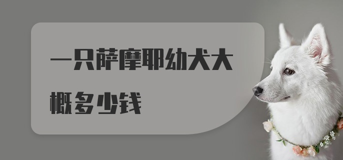 一只萨摩耶幼犬大概多少钱