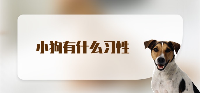 小狗有什么习性