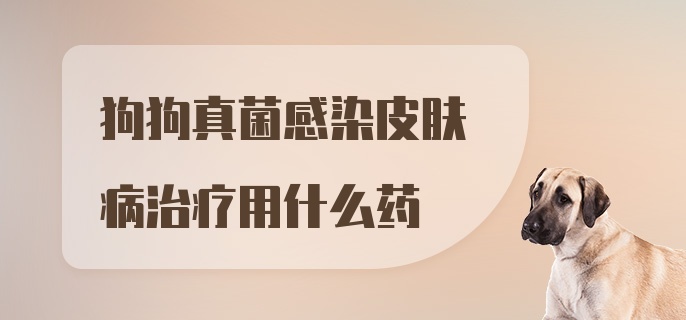 狗狗真菌感染皮肤病治疗用什么药