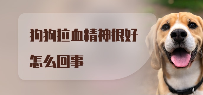 狗狗拉血精神很好怎么回事