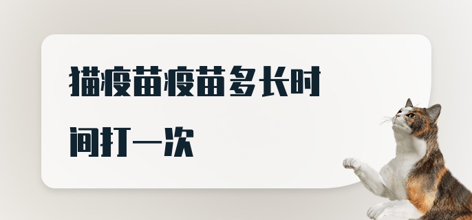 猫疫苗疫苗多长时间打一次