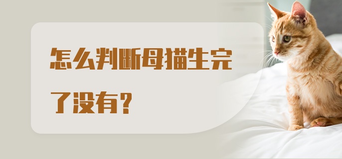 怎么判断母猫生完了没有？