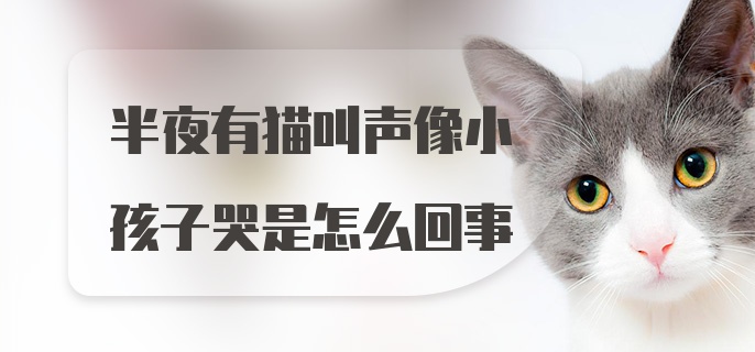 半夜有猫叫声像小孩子哭是怎么回事