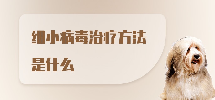 细小病毒治疗方法是什么