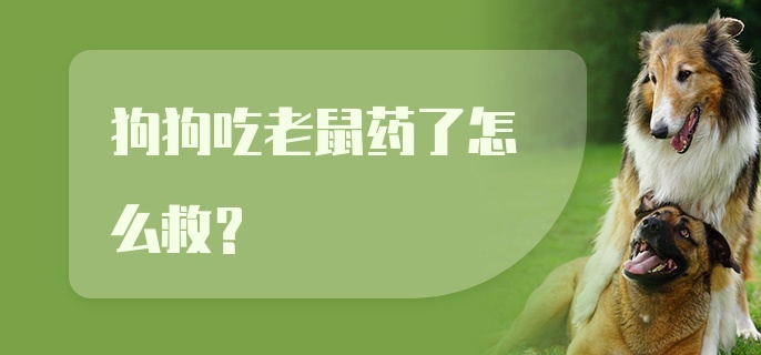 狗狗吃老鼠药了怎么救？