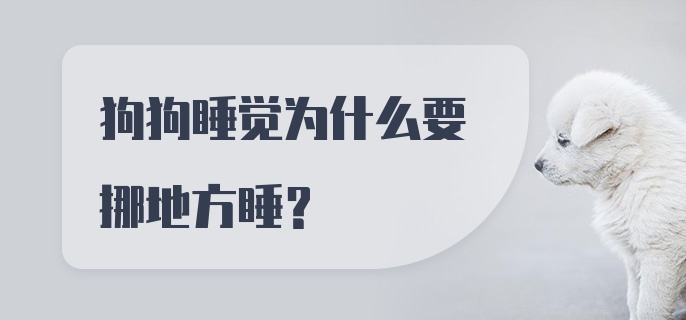 狗狗睡觉为什么要挪地方睡？