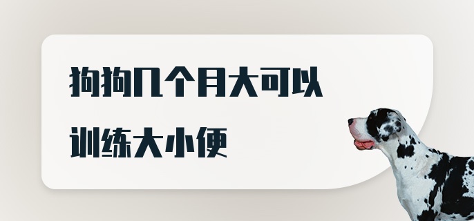 狗狗几个月大可以训练大小便