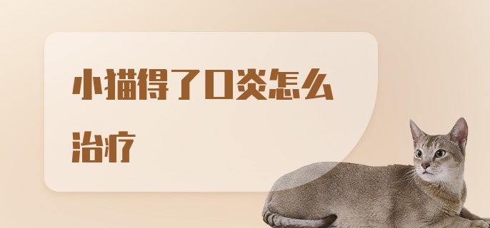 小猫得了口炎怎么治疗