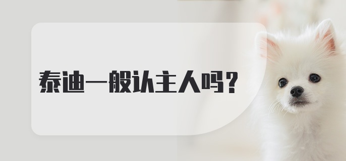 泰迪一般认主人吗？