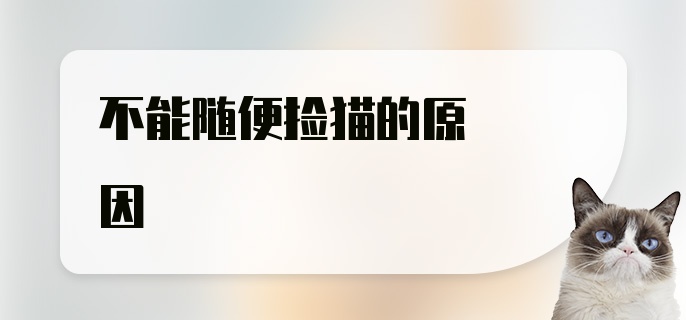 不能随便捡猫的原因