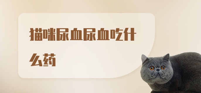 猫咪尿血尿血吃什么药